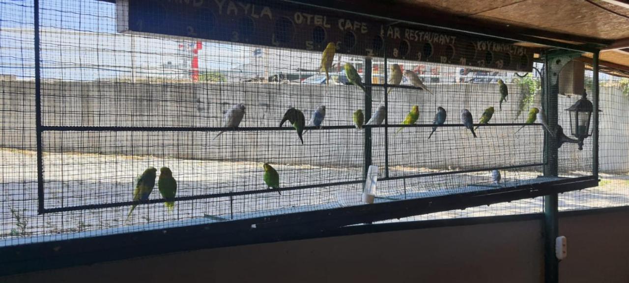 Grand Yayla Çeşme
